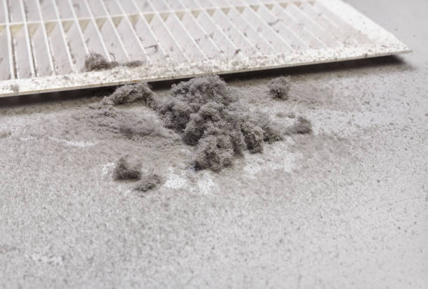 Best Air Duct Cleaning Company Near Me  in Queen Creek, AZ